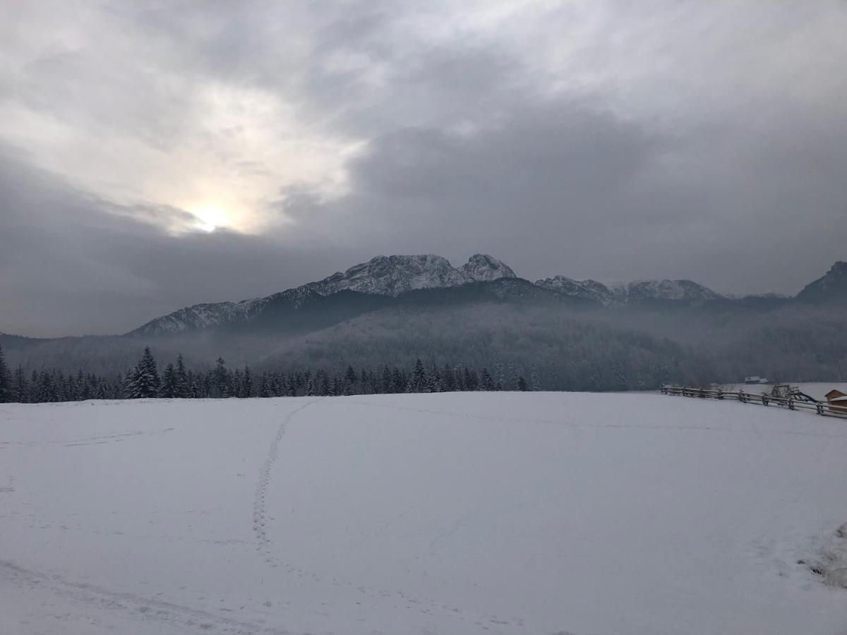 Apartament Chata Toma Zakopane Exterior foto